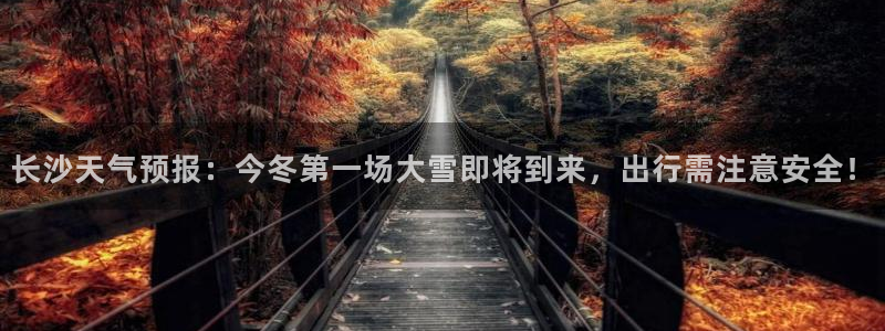 壹号娱乐com