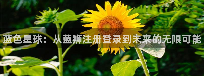 壹号app官方登录入口下载