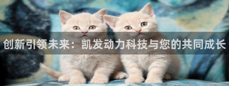 壹号注册入口app下载
