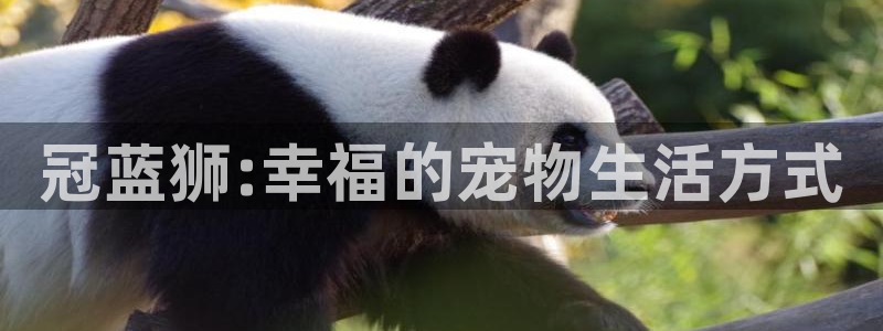 壹号娱乐平台app下载安装