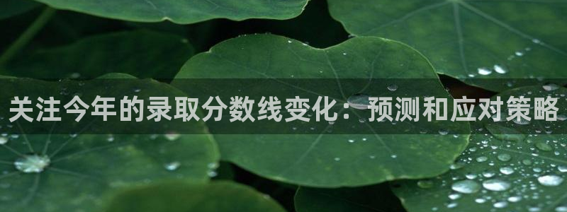 壹号娱乐app官网下载苹果