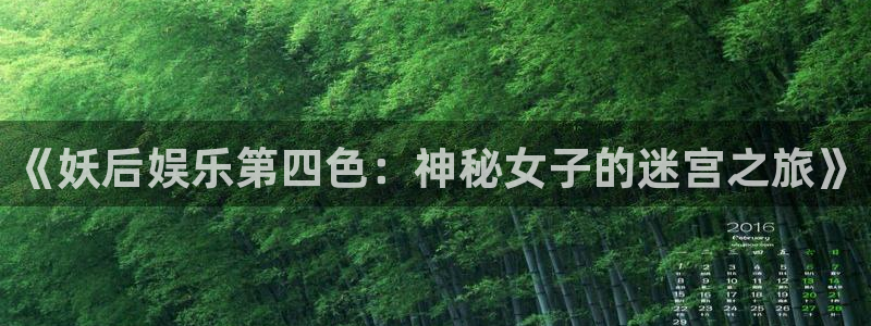 壹号娱乐能退款吗