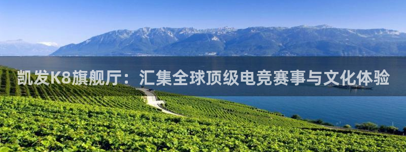 壹号大舞台官网
