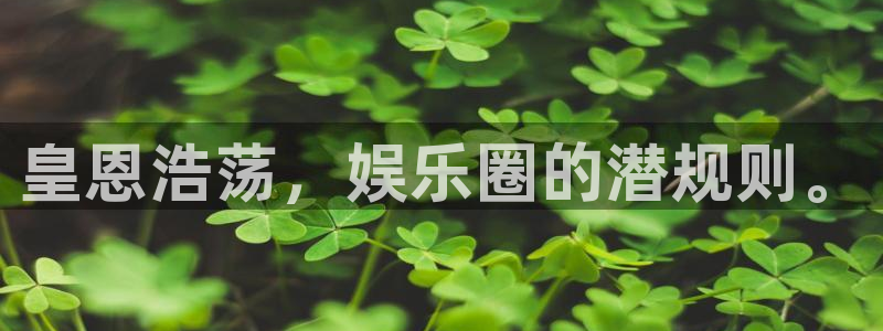 壹号下载官网入口