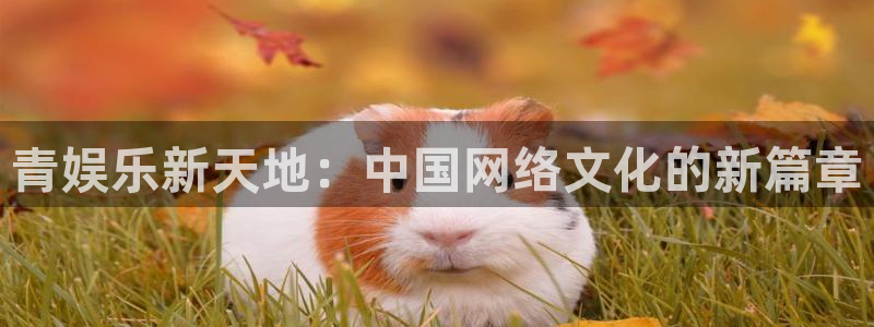 壹号大舞台