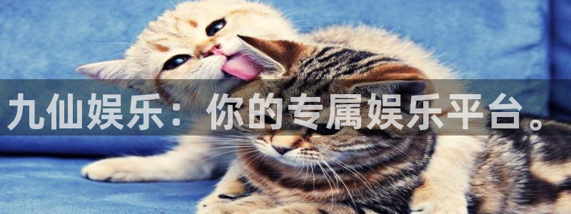 壹号app下载苹果
