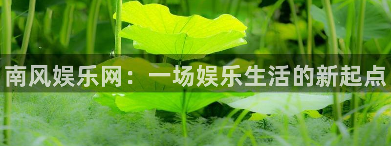 壹号娱乐app最新版怎么下载苹果