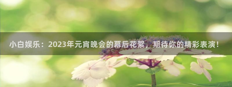 壹号大舞台娱乐传媒