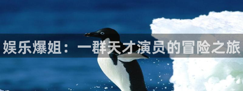 壹号app官网