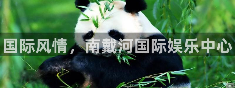 壹号下载安装：国际风情，南戴河国际娱乐中心