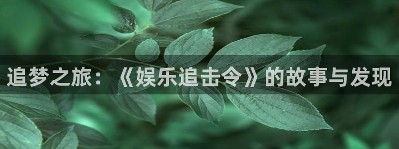 壹号大舞台28国际大舞台：追梦之旅：《娱乐追击令》的故事与发现