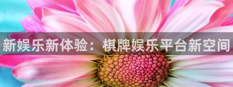 壹号电子娱乐app下载安装：新娱乐新体验：棋牌娱乐平台新空间