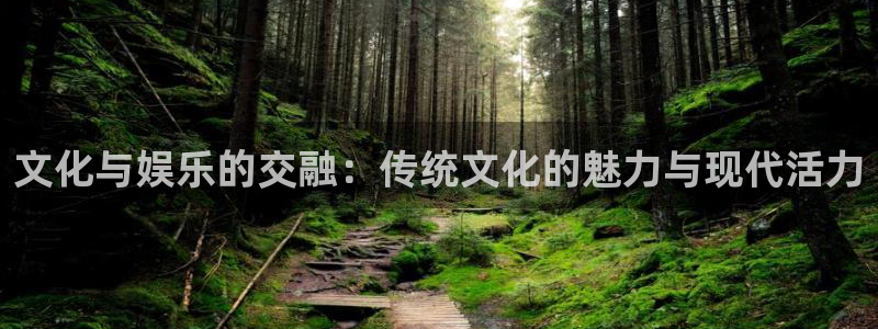 壹号娱乐com：文化与娱乐的交融：传统文化的魅力与现代活力
