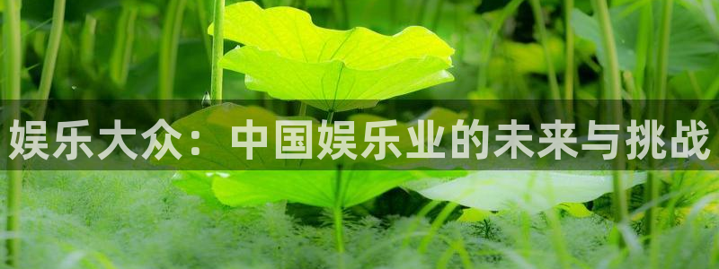 壹号娱乐app官网下载：娱乐大众：中国娱乐业的未来与挑战