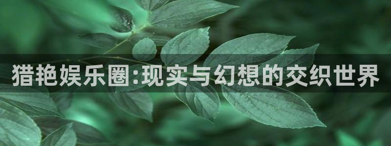 壹号注册入口app下载：猎艳娱乐圈:现实与幻想的交织世界
