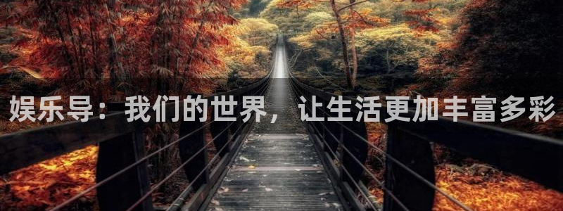 壹号娱乐退款怎么退：娱乐导：我们的世界，让生活更加丰富多彩