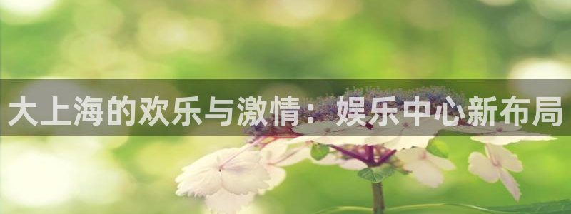 壹号娱乐app官网下载：大上海的欢乐与激情：娱乐中心新布局
