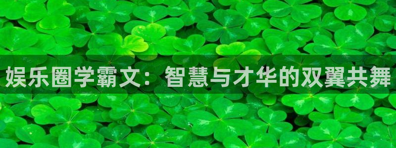 壹号大舞台娱乐app下载安装：娱乐圈学霸文：智慧与才华的双翼共舞