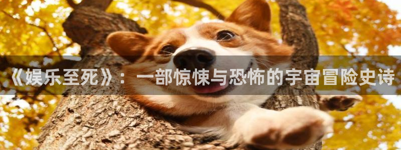 壹号娱乐电子游戏官网：《娱乐至死》：一部惊悚与恐怖的宇宙冒险史诗