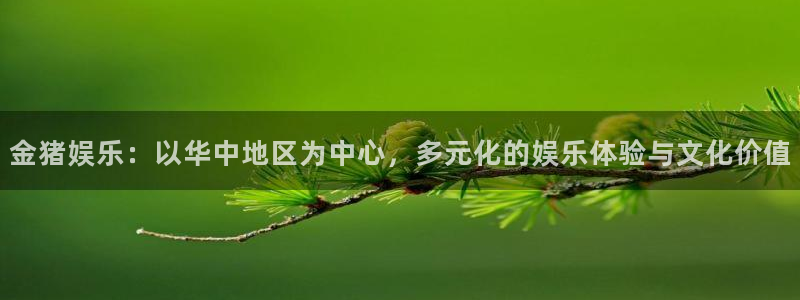 伟德国际集团 壹号(one game)：金猪娱乐：以华中地区为中心，多元化的娱乐体验与文化价值