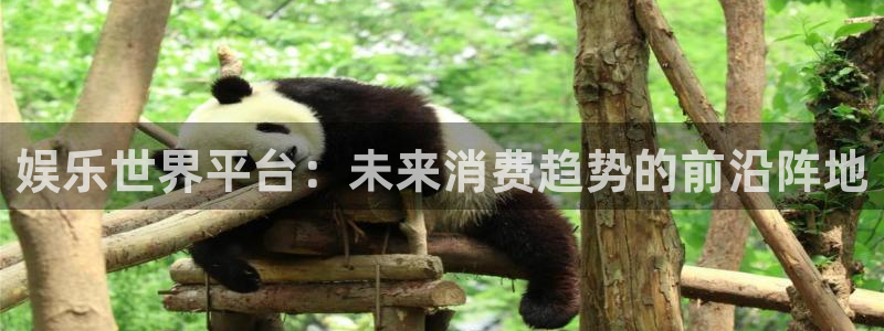壹号app下载：娱乐世界平台：未来消费趋势的前沿阵地