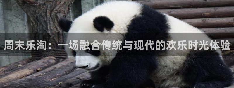 壹号娱乐下载入口：周末乐淘：一场融合传统与现代的欢乐时光体验