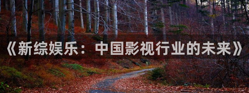 壹号大舞台：《新综娱乐：中国影视行业的未来》