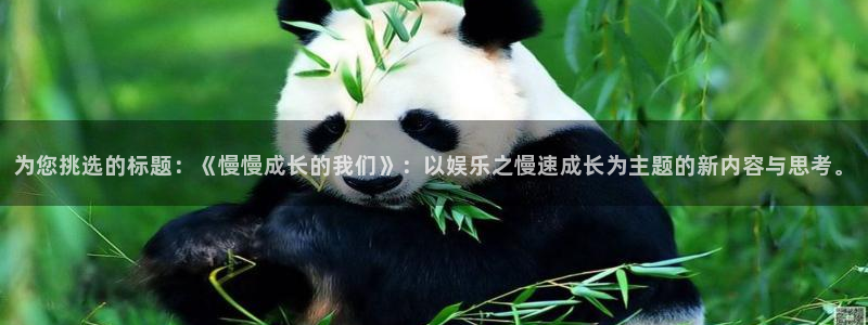 壹号大舞台娱乐传媒：为您挑选的标题：《慢慢成长的我们》：以娱乐之慢速成长为主题的新内容与思考。