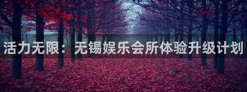 壹号娱乐app下载：活力无限：无锡娱乐会所体验升级计划